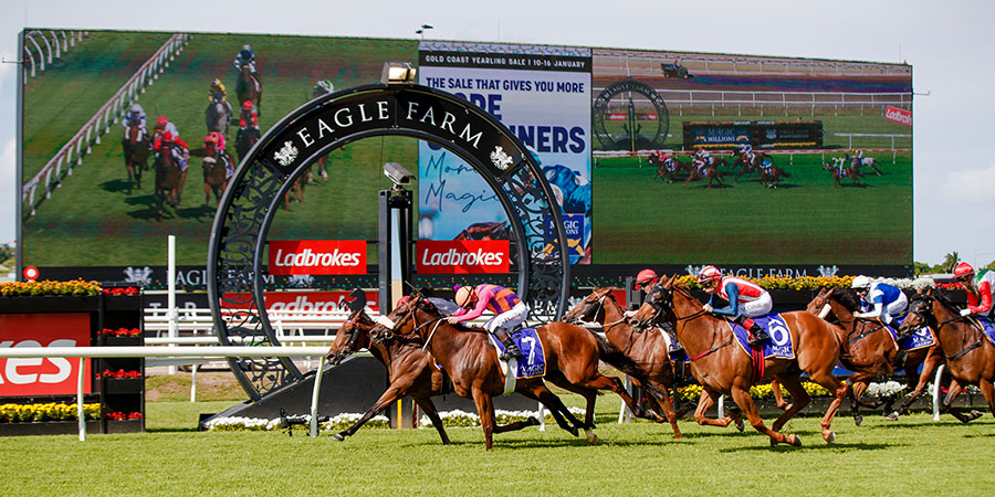 Eagle Farm Racecourse - About Us