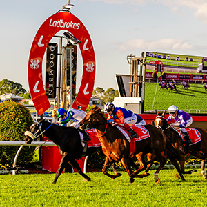 SATURDAY RACEDAY 7 - DOOMBEN